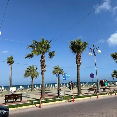 Fantastic 163 In Finikoudes لارنكا